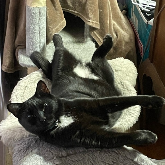 Meet your Posher, JeanMarie - Picture 5 of 10